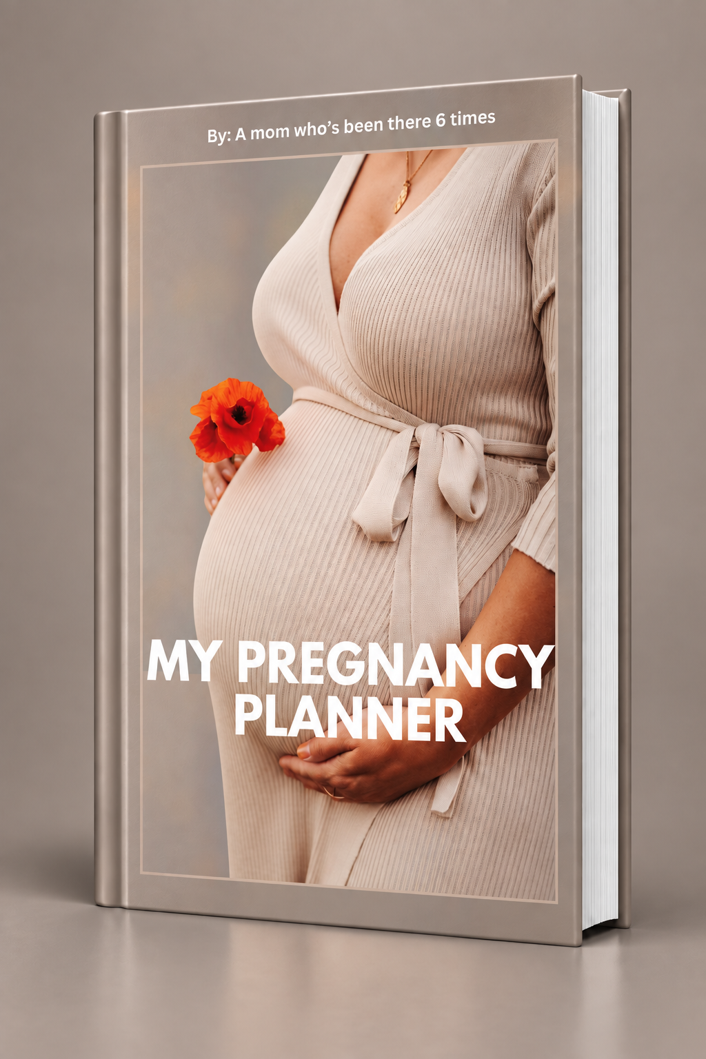 My Pregnancy Planner