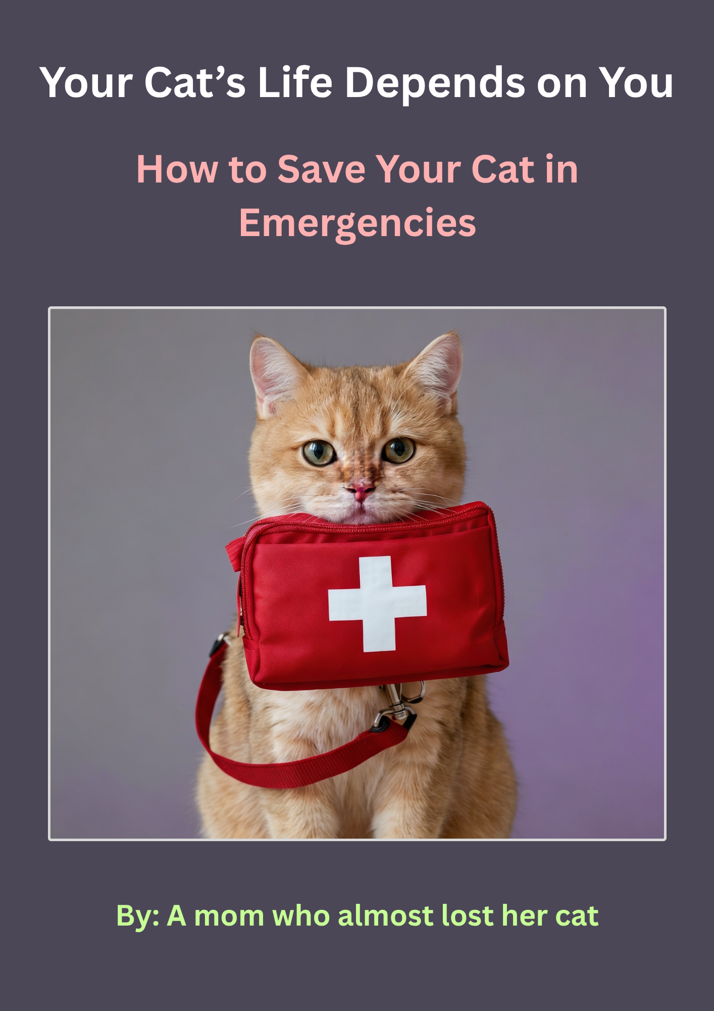Your Cat’s Life Depends on You