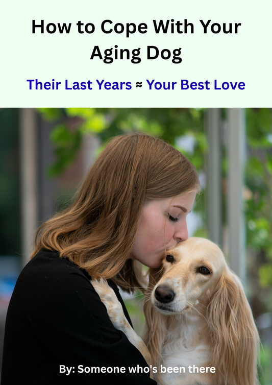 How to Cope With Your Aging Dog