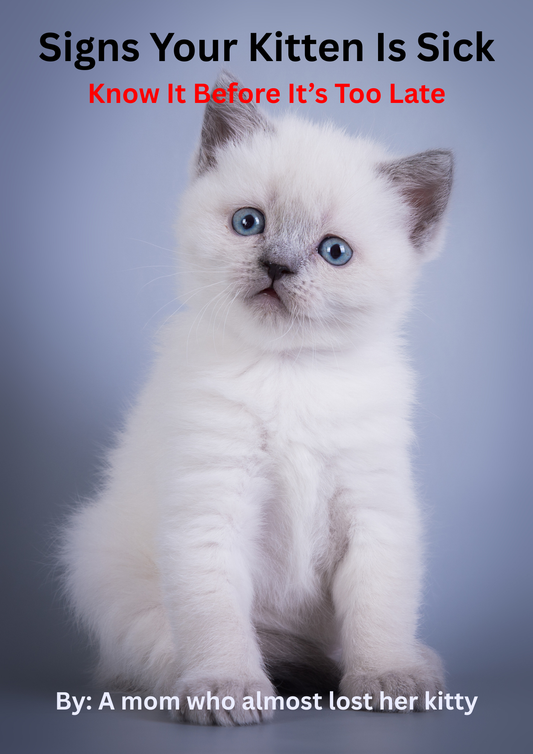 Signs Your Kitten Is Sick