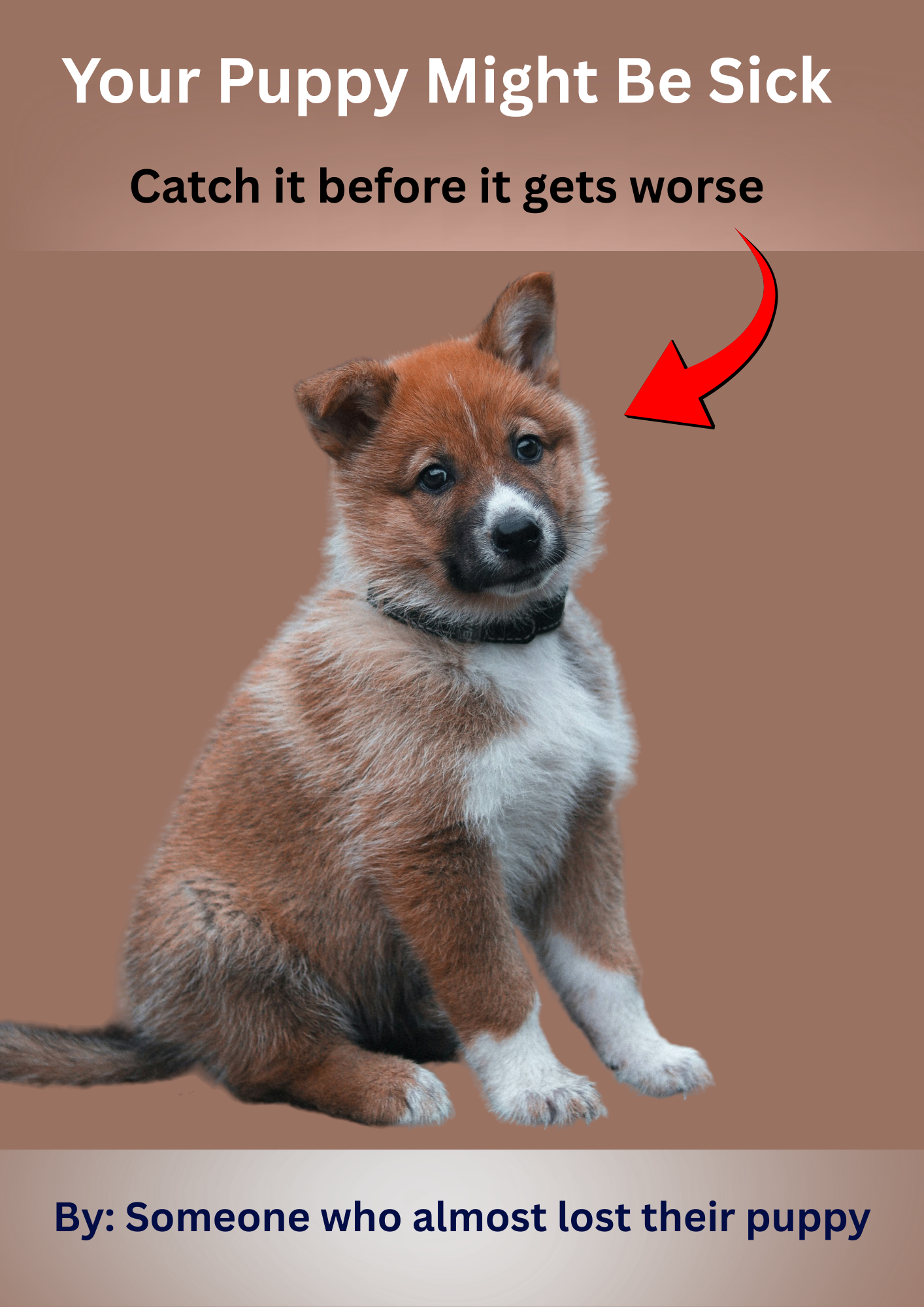 Your Puppy Might Be Sick